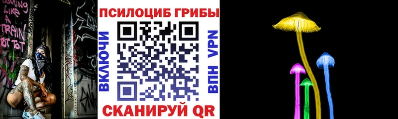 Купить где  Заринск  Галлюциногенные грибы мицелий 