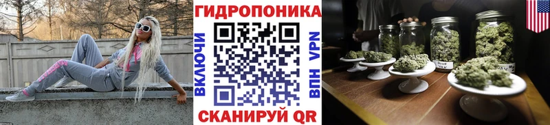 Купить закладки  Заринск  Канабис THC 21% 